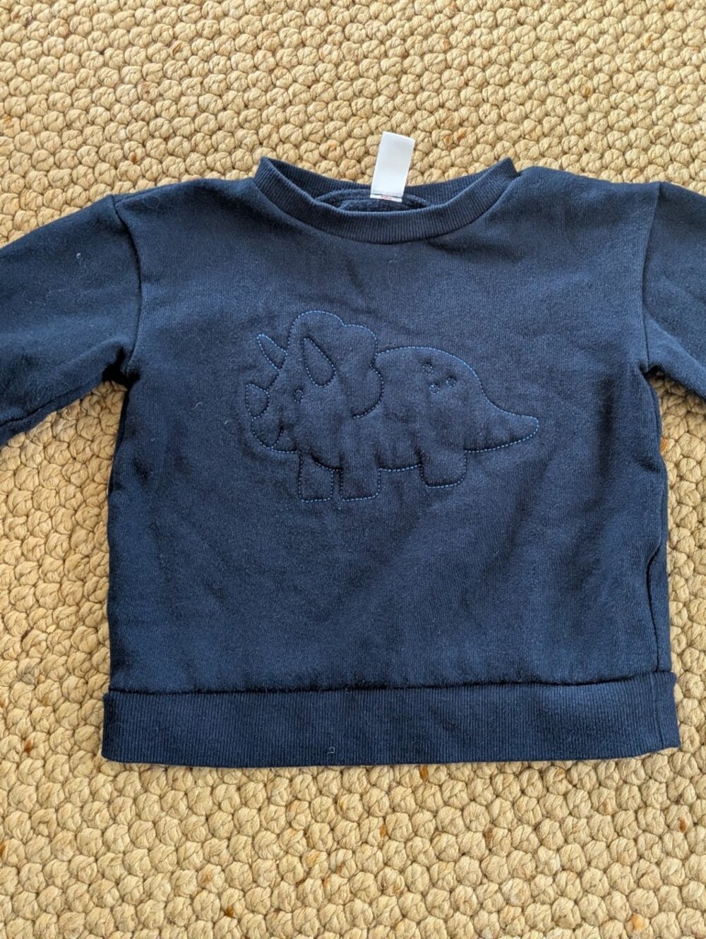 Dinosaur Embroidered Toddler sweatshirt